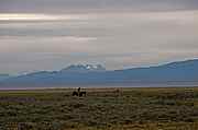 Patagonien
