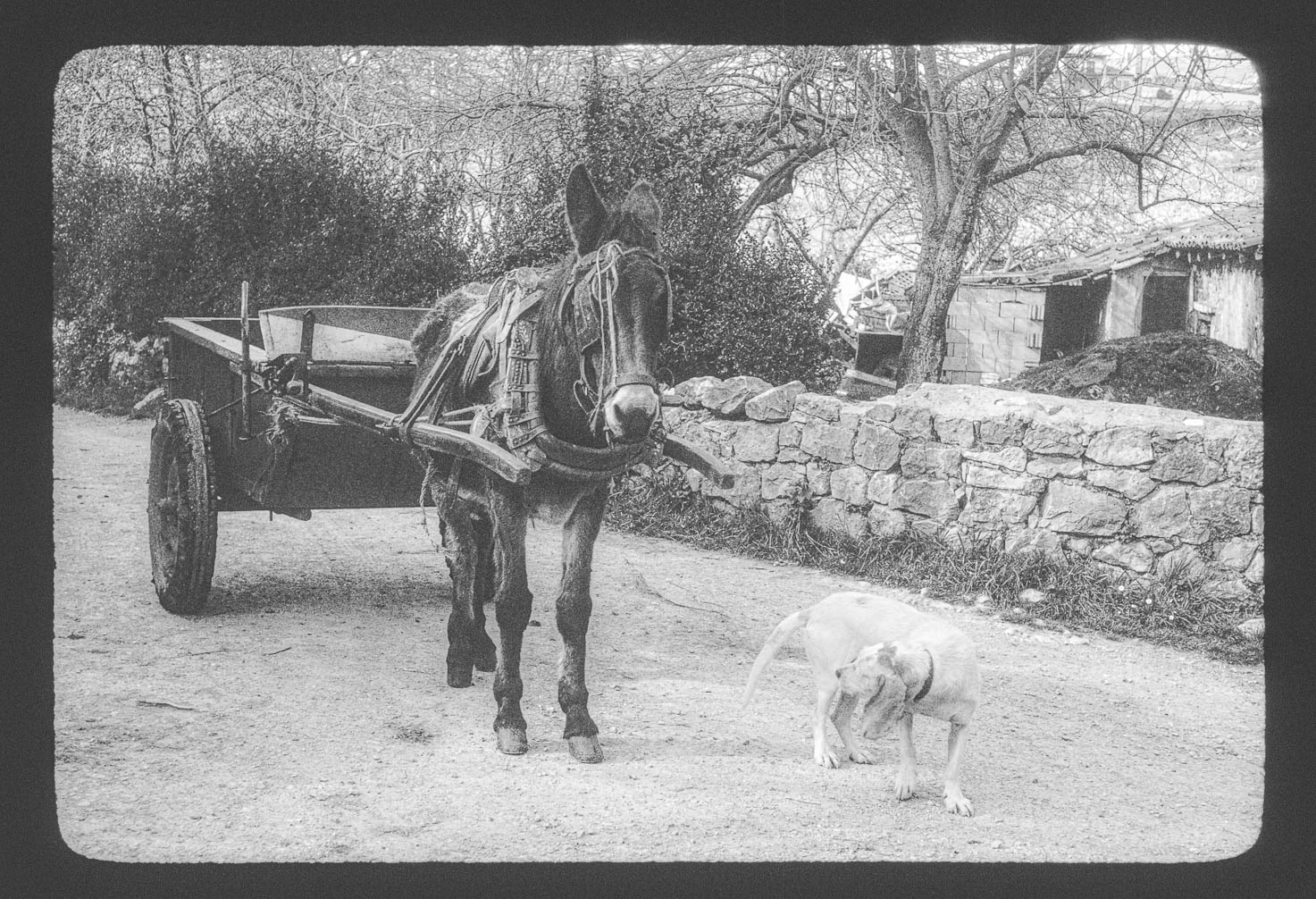 B&W - Schwarzweißfotos