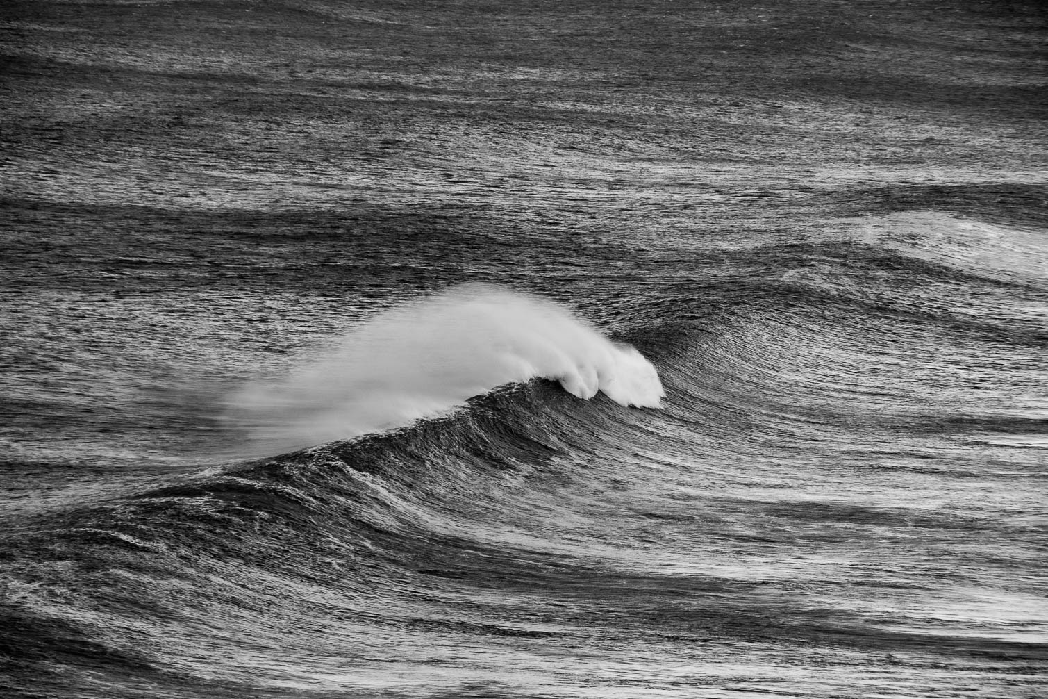 Water - Wasser