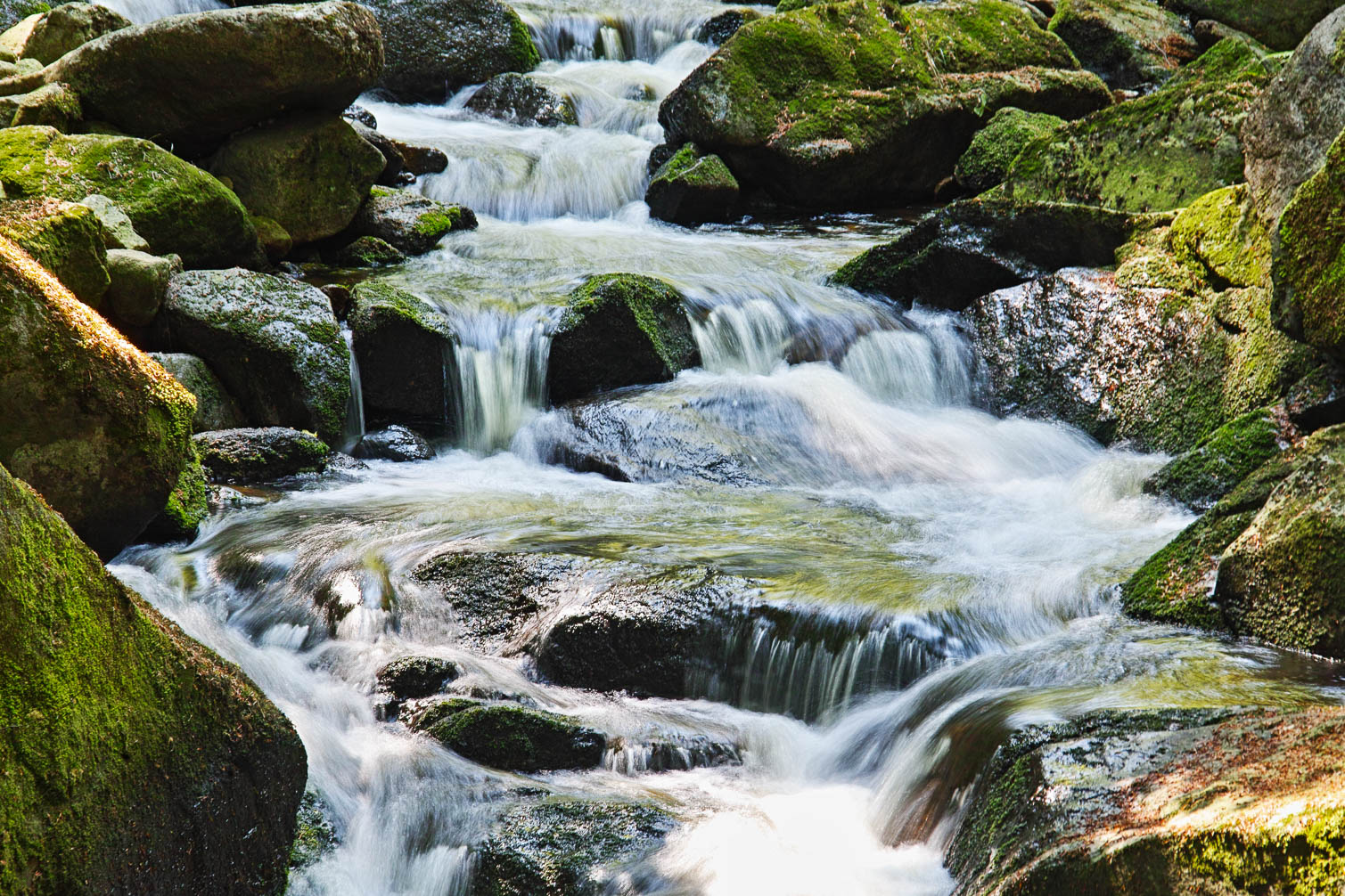 Harz
