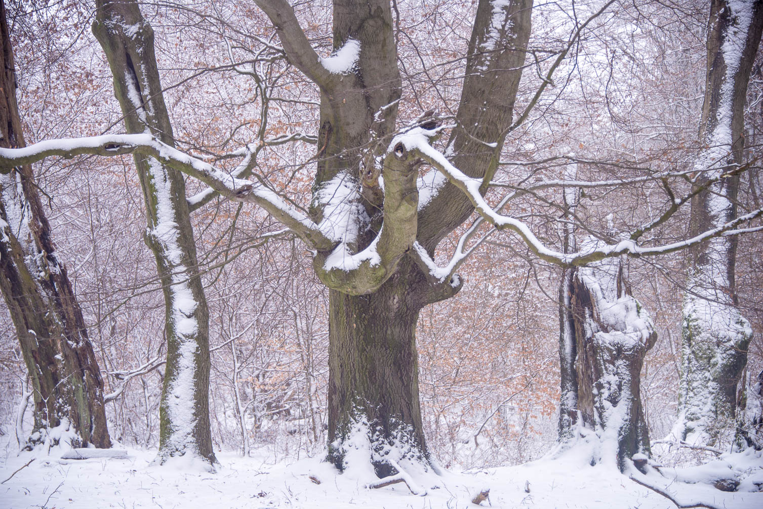Sankt Wendel und Umgebung