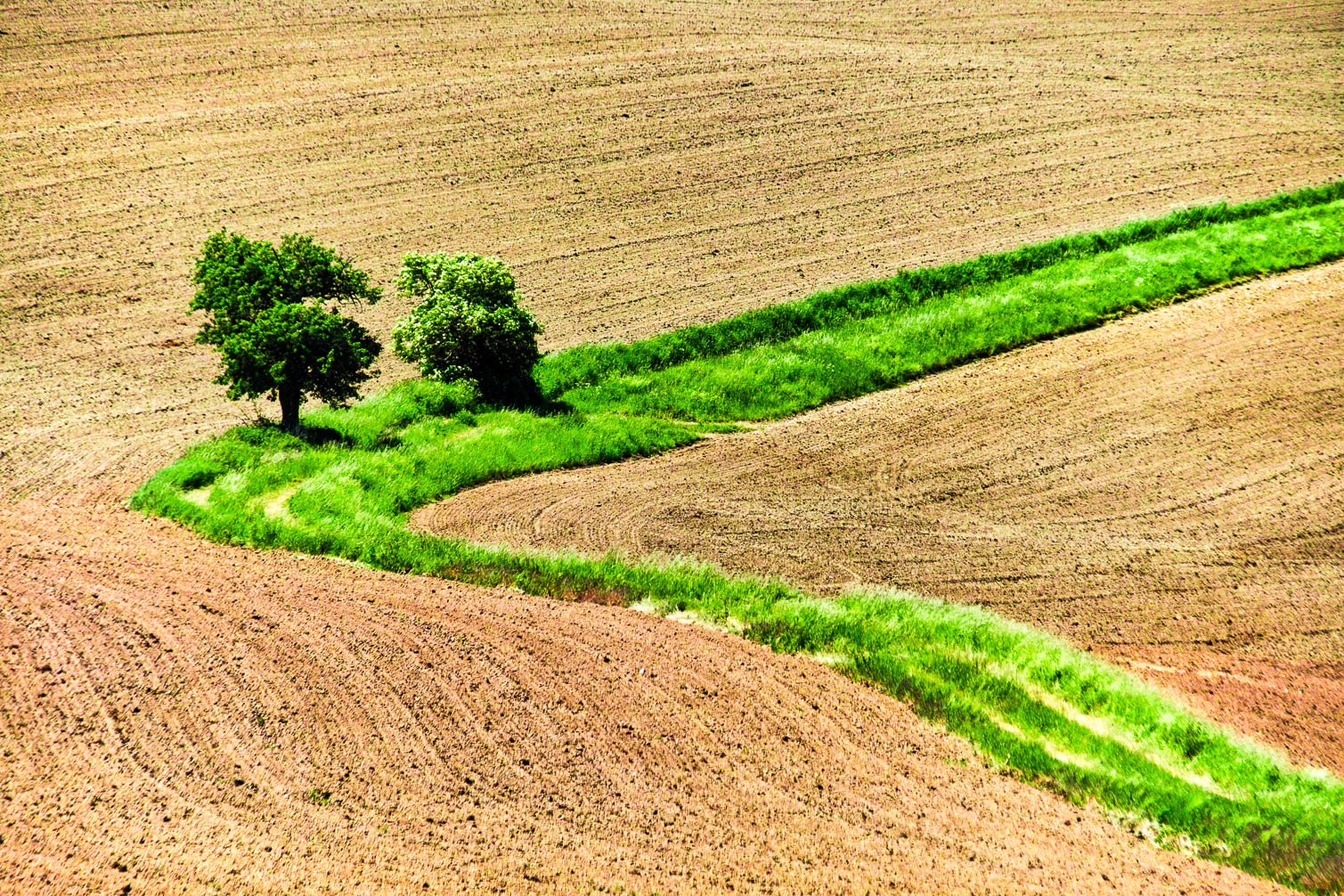 Sankt Wendel und Umgebung