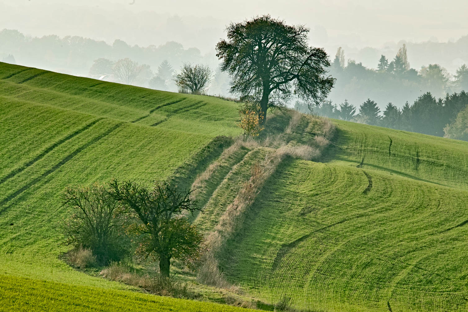 Sankt Wendel und Umgebung