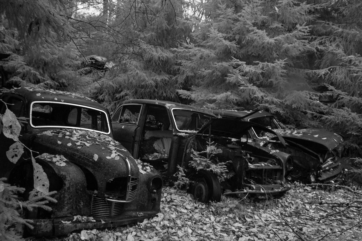 Lost Places