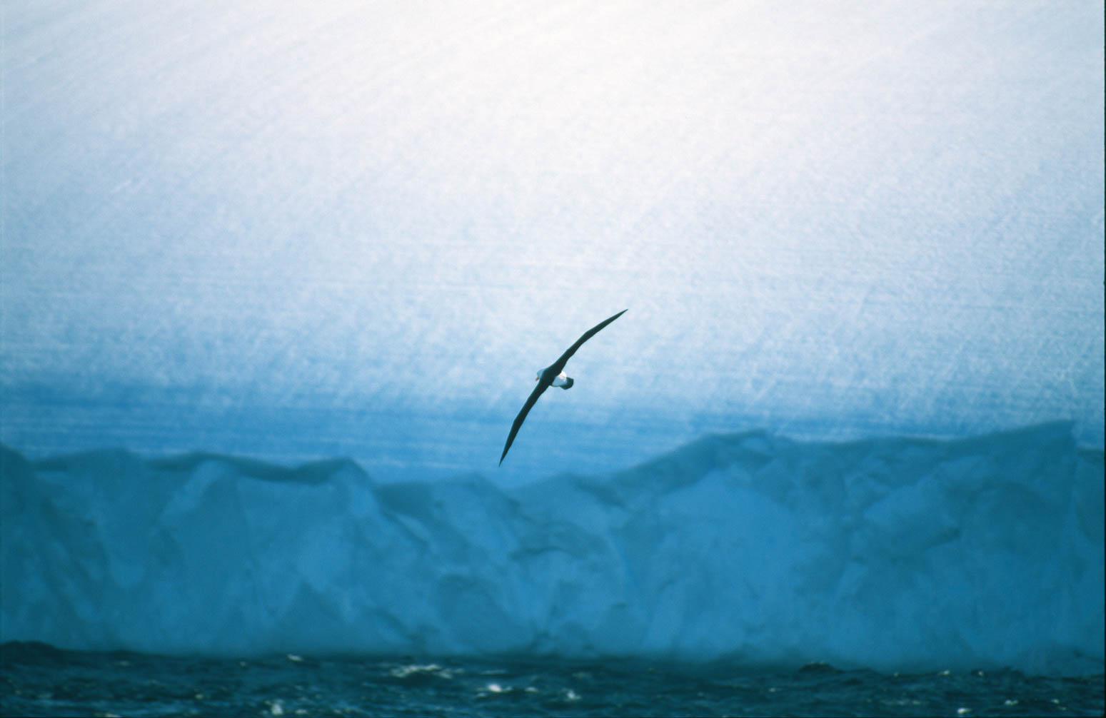 Antarctica - Antarktis