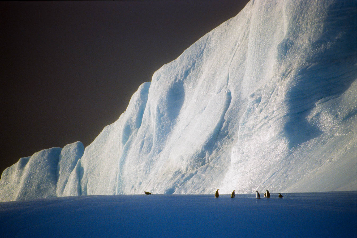 Antarctica - Antarktis