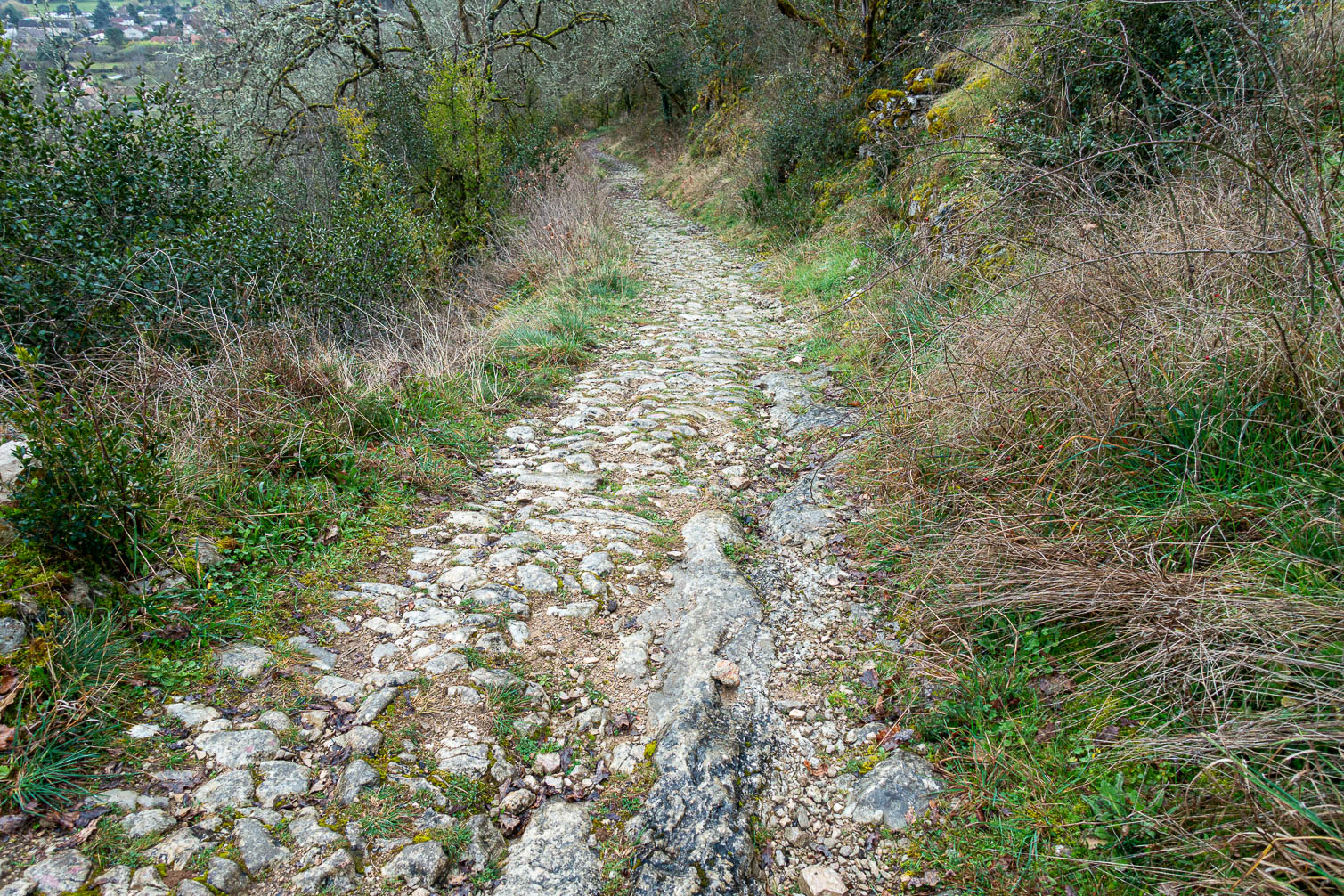 Camino de Santiago 