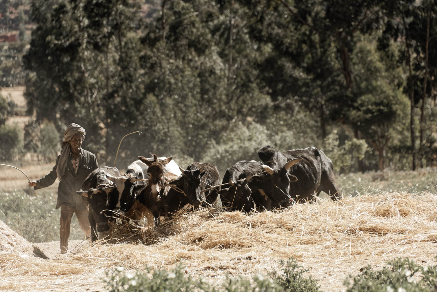 Ethiopia