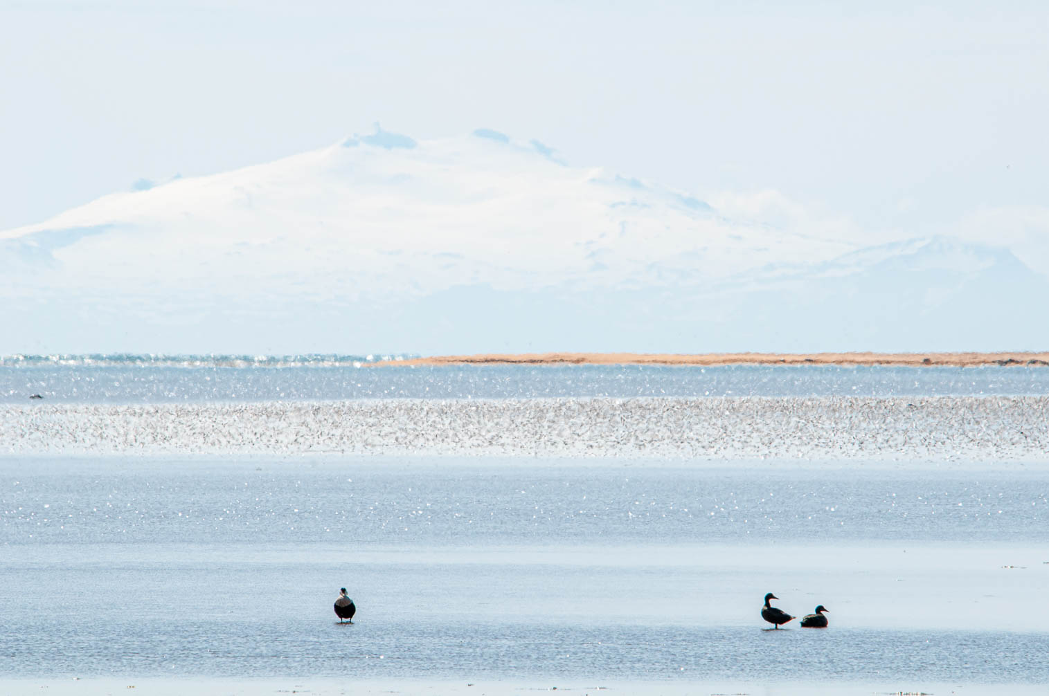 Iceland