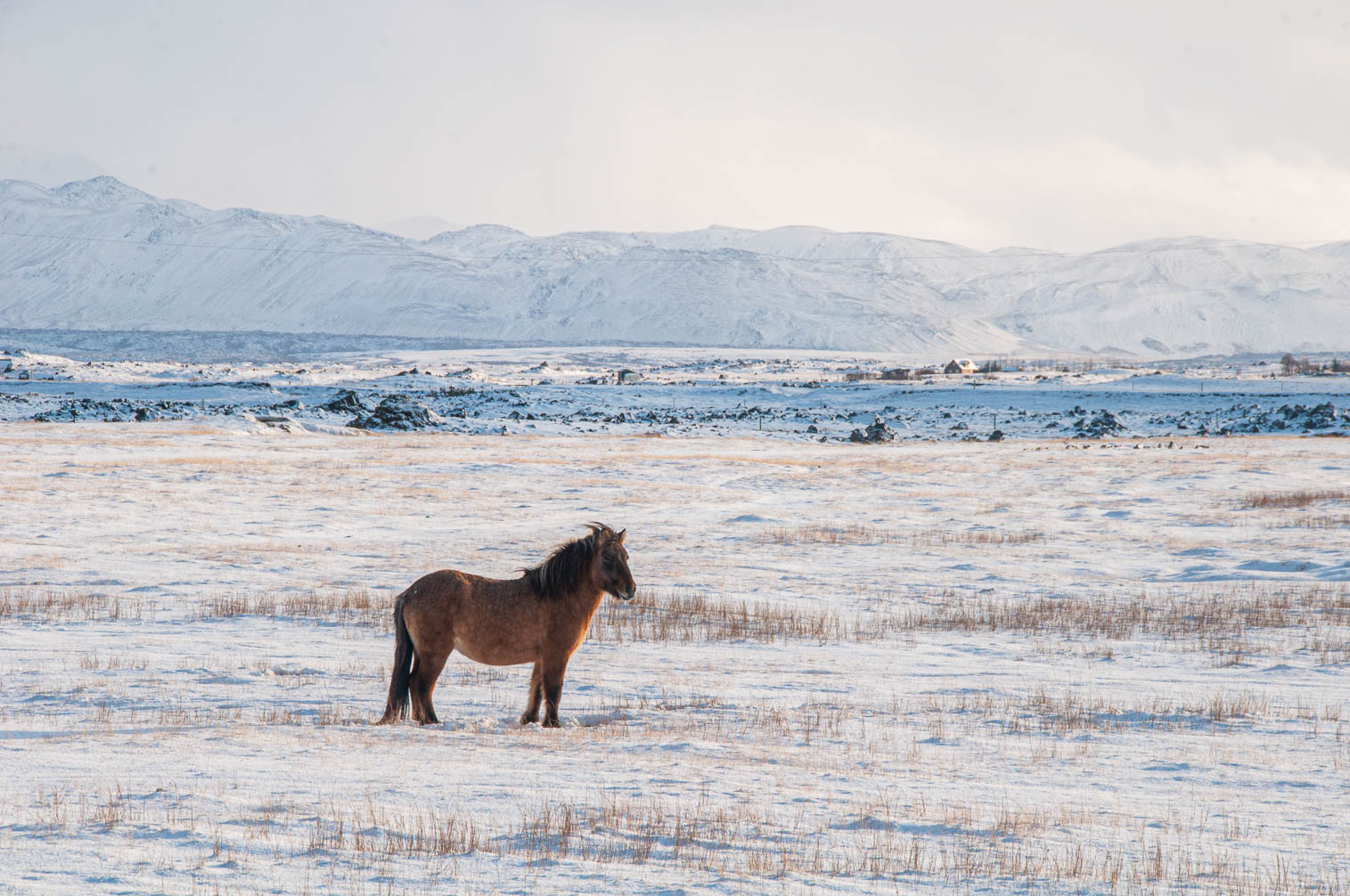 Iceland
