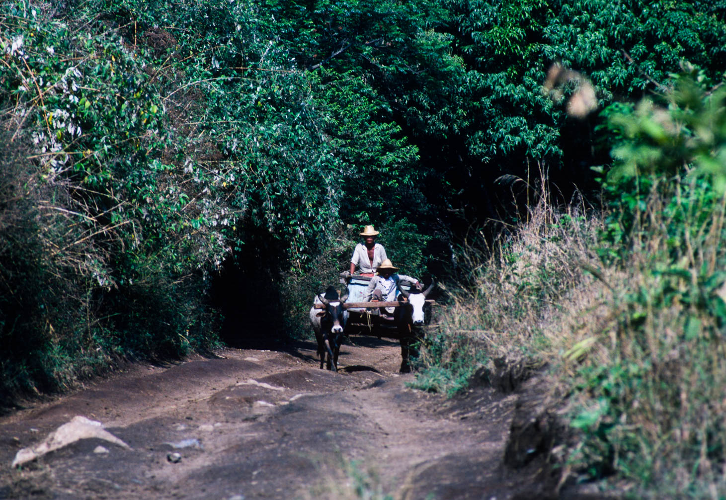 Madagascar