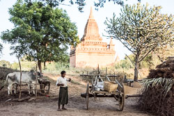 Myanmar