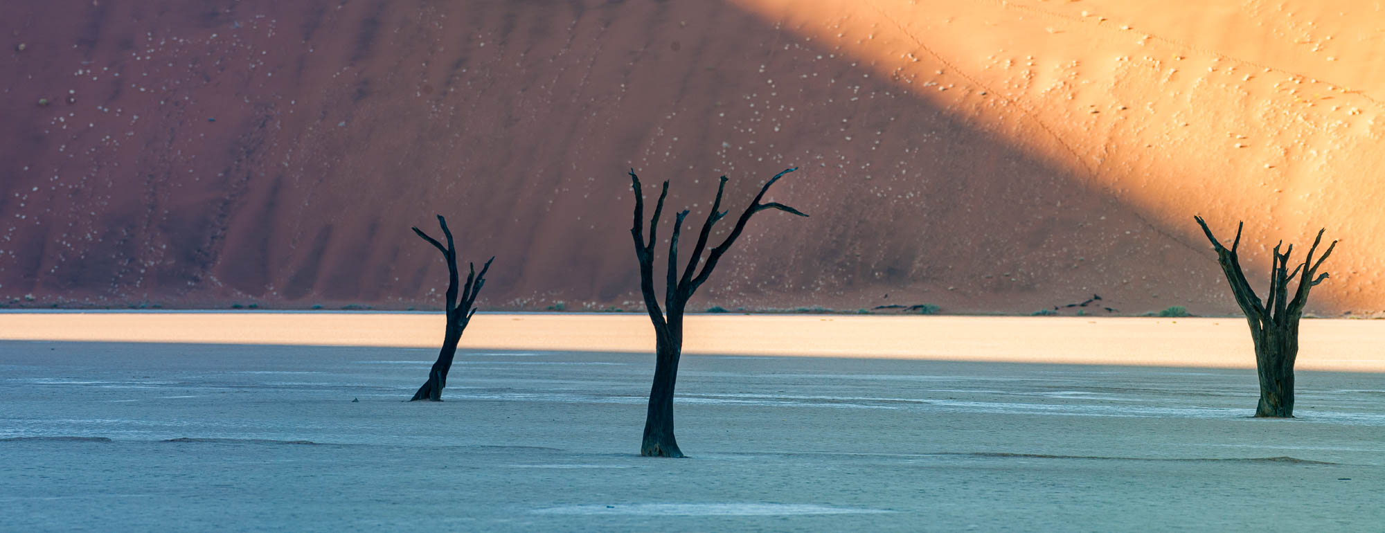 Namibia 2008 and 2012