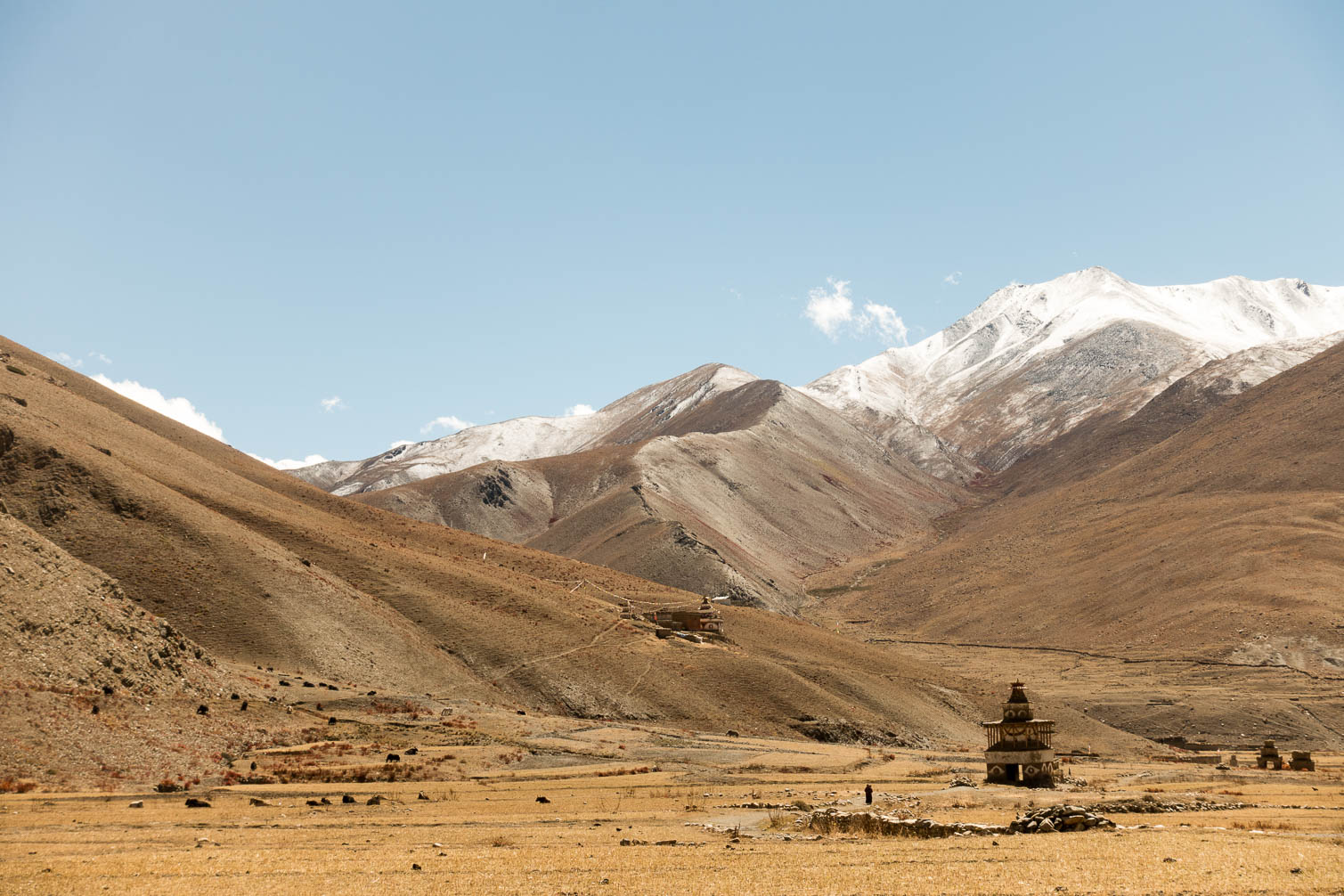 Dolpo
