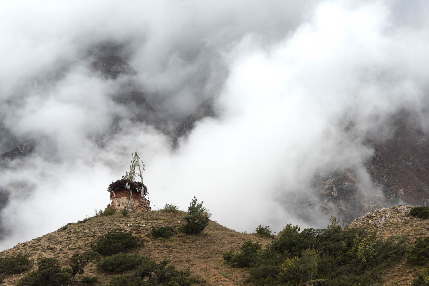 Dolpo