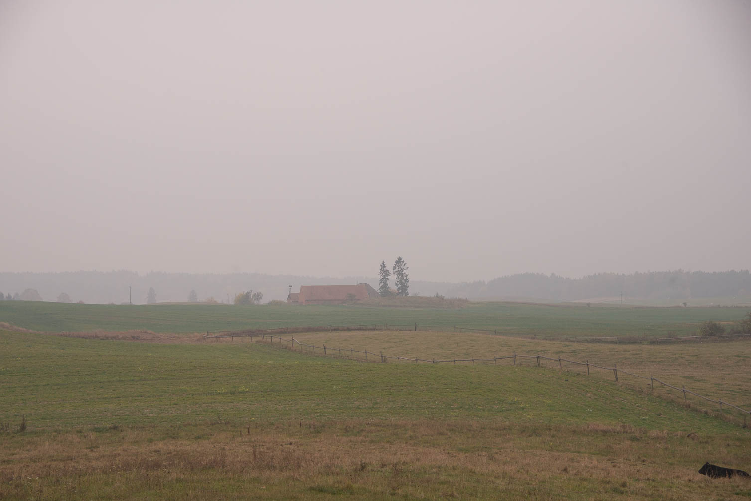 Poland - Polen