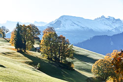 Switzerland - Schweiz