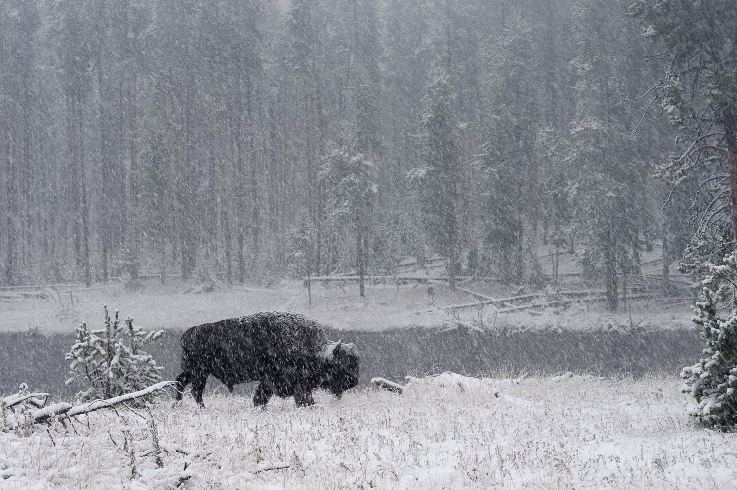 Wyoming - Colorado